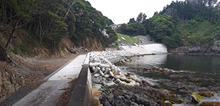 田の浜林地荒廃防止施設災害復旧外工事